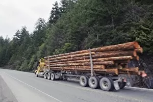 Logging truck in MacMillan Provincial Park, Vancouver Island, British Columbia