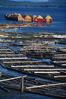 Logging Prints: Logs booms on the Campbell River, British Columbia, Canada, North America
