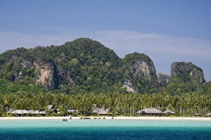 Dense Prints: Loh Bakao beach
