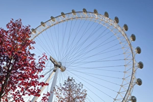 Big Wheel Prints: The London Eye on a bright sunny day, London, England, United Kingdom, Europe