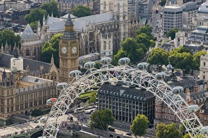 Ferris Wheel Collection: The London Eye and Jubilee Gardens with the Houses of Parliament in the distance, London