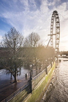 London Eye (Millennium Wheel) at sunset, London Borough of Lambeth, England, United Kingdom