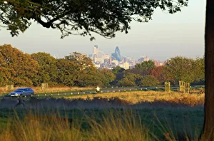 London skyline from Richmond Park, London, England, United Kingdom, Europe
