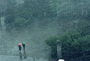 Umbrellas Prints: Two lone figures with umbrellas caught in rain storm, Dublin, Republic of Ireland, Europe