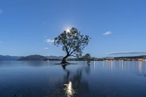 The lone tree in Lake Wanaka under the moonlight at dusk, Wanaka, Queenstown Lakes