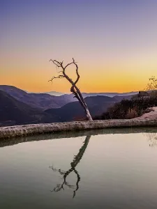 Silhouettes Prints: Lone Tree by the pool, Hierve el Agua, dusk, San Lorenzo Albarradas, Oaxaca State, Mexico