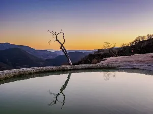Mexican Prints: Lone Tree by the pool, Hierve el Agua, dusk, San Lorenzo Albarradas, Oaxaca State, Mexico