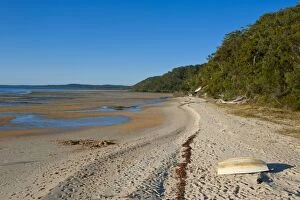 Lonely beach on Fraser Island, UNESCO World Heritage Site, Queensland, Australia, Pacific