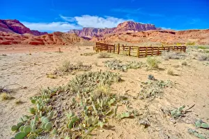 Ranch Prints: Lonely Dell Ranch Corral at Vermilion Cliffs National Monument near the Glen Canyon