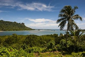 Pohnpei Prints: Lonely palm tree, Pohnpei (Ponape)