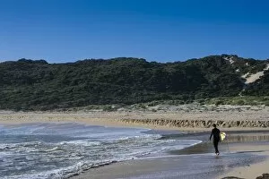 Lonely surfer on a beach near Margaret River, Western Australia, Australia, Pacific