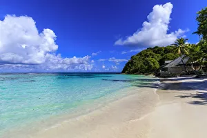 Long Bay Beach, beautiful soft white sand, turquoise sea, palm trees, Antigua