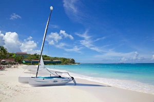 Long Bay Prints: Long Bay and beach and hobie cat