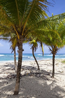 Long Bay Prints: Long Bay, East Coast, Portland Parish, Jamaica, West Indies, Caribbean, Central America