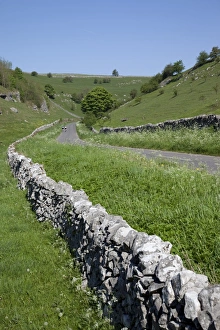 Cyclist Prints: Long Dale near Hartington, Peak District, Derbyshire, England, United Kingdom, Europe