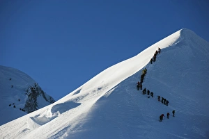 Alps Prints: Long line of climbers on summit ridge of Mont Blanc, 4810m, Chamonix, French Alps