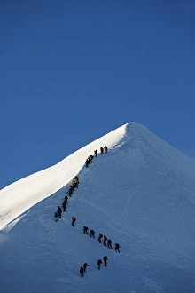 Long line of climbers on summit ridge of Mont Blanc, 4810m, Chamonix, French Alps