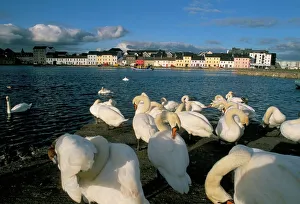 Long Walk view from Claddagh Quay