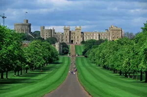 Berkshire Collection: Long Walk from Windsor Castle, Berkshire, England, United Kingdom, Europe