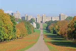 Lawn Prints: The Long Walk and Windsor Castle, Windsor, Berkshire, England, UK