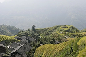 Longsheng terraced ricefields, Guilin, Guangxi Province, China, Asia