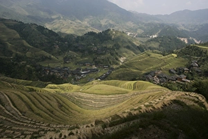 Longsheng terraced ricefields, Guilin, Guangxi Province, China, Asia