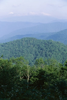 Overcast Sky Prints: Looking over the Appalachian mountains from the Blue