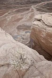 Blue Mesa Prints: Looking down from the top of Blue Mesa into the badlands, Petrified Forest National Park