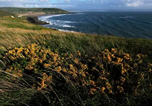Horizon Over Land Prints: Looking across Croyde Bay from Baggy Point, north Devon, England, United Kingdom, Europe