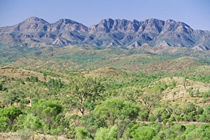 Escarpment Prints: Looking towards the eastern escarpment of Wilpena Pound, a huge natural basin
