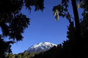 Images Dated 7th February 2010: Looking up to the hanging glaciers of Uhuru Peak, Mount Kilimanjaro, Tanzania