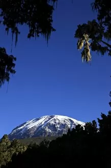 Images Dated 7th February 2010: Looking up to the hanging glaciers of Uhuru Peak, Mount Kilimanjaro, Tanzania
