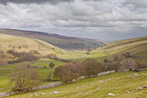 Littondale Prints: Looking down onto Littondale in the Yorkshire Dales National Park
