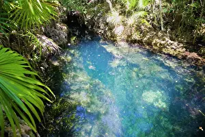 Crystal Clear Prints: Looking down into the Los Peces fresh water cave near Playa Giron