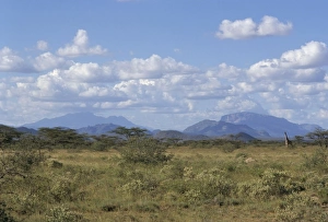 Samburu Prints: Looking north in Samburu bush country