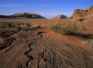 Wadi Rum Prints: Looking north up Wadi Rum