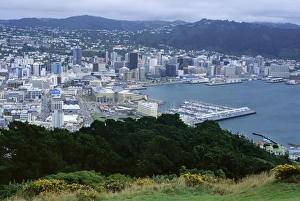 Pacific Rim Prints: Looking north west from Mount Victoria towards Lambton
