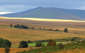 Outdoor Activities Prints: Looking towards Pen-y-Fan, Brecon Beacons, Powys, Wales, United Kingdom, Europe