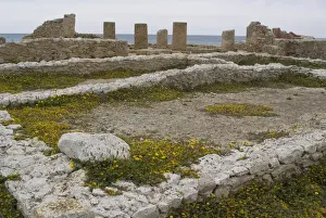 Punic Prints: Looking towards the peristyle house at Kerkouane, the only pure Punic site ever found