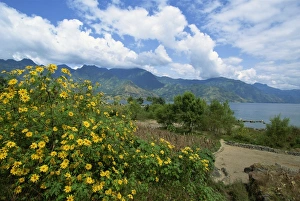 Lake Atitlan Prints: Looking from San Pedro La Laguna towards Lake Atitlan, Guatemala, Central America
