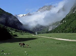 Marche Prints: Looking south up Piano della Gardosa valley with track