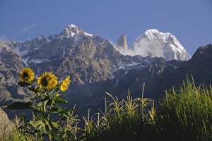 Looking towards Ultar Peak