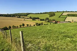 Fence Prints: Looking towards Valley End Farm at Bix Bottom in the Chiltern Hills near Henley