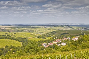 Food And Drink Industry Prints: Looking down on the village of Amigny near to Sancerre