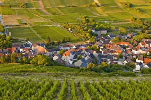 Vine Yard Prints: Looking down onto a village near to Sancerre, Cher, Loire Valley, Centre, France, Europe