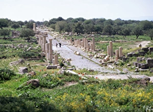 Umm Qais Prints: Looking west along Decumanus Maximus
