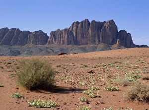 Gorge Prints: Looking west to Jebel Qattar