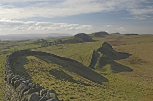 Housesteads Prints: Looking west from Kings Hill to Housesteads fort and Crag, Cuddy and Hotbank Crags