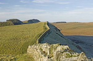 Kings Hill Prints: Looking west from Kings Hill to Housesteads Wood, Hotbank and Cuddy Crags