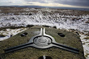 Images Dated 2009 December: 